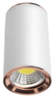 SPOT SI-21 BLANC/ AC GU10 IP20 