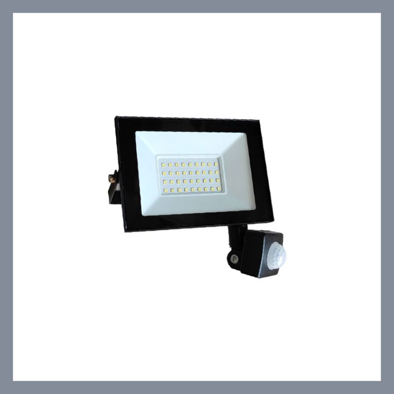 PROJECTEUR LED COLORADO AVEC DETECTEUR 20W 6500K