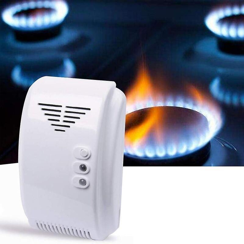 DETECTEUR AVERTISSEUR DE GAZ  DG2 