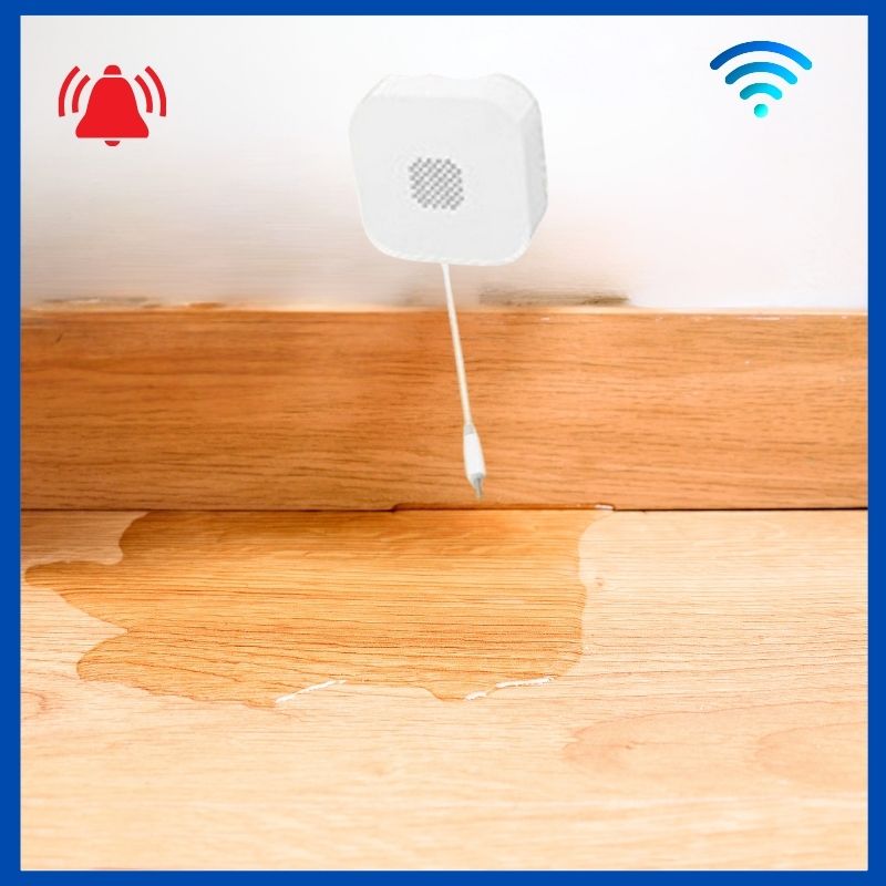 DETECTEUR DE FUITE D''EAU CONNECTE IP44 